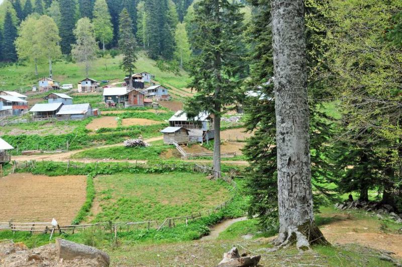 Sırık Yaylası