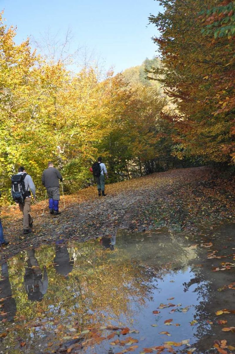 Yılançatı Kanyonu Tabiat Parkı